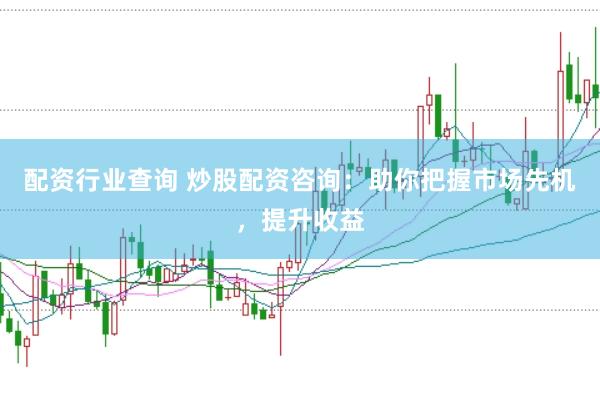 配资行业查询 炒股配资咨询：助你把握市场先机，提升收益