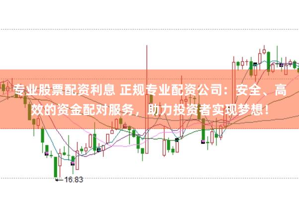 专业股票配资利息 正规专业配资公司：安全、高效的资金配对服务，助力投资者实现梦想！